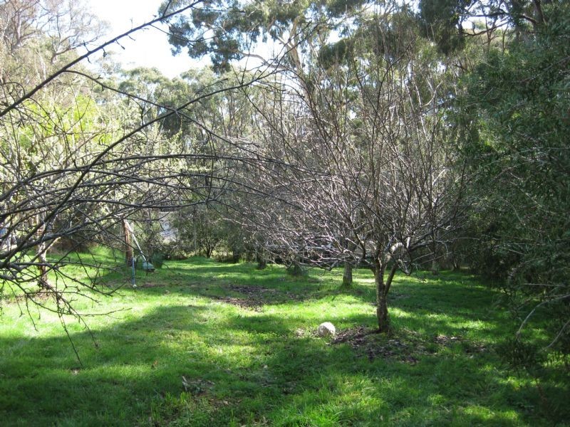 135 Griffiths Lane   Wheatsheaf, Daylesford VIC 3460