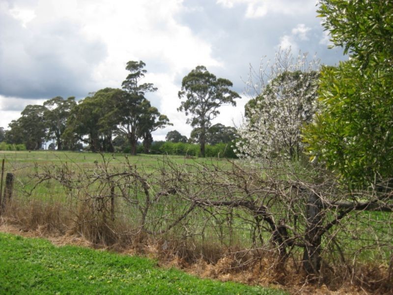 4 McMahons, Daylesford VIC 3460