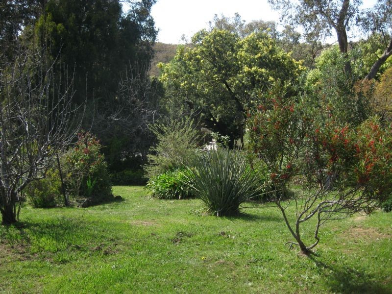 14 Borsa Cres, Hepburn Springs VIC 3461