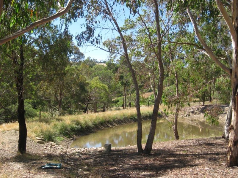 Hepburn Springs VIC 3461