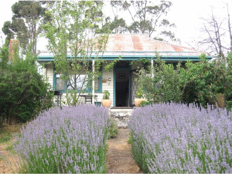 31 Jamieson, Daylesford VIC 3460