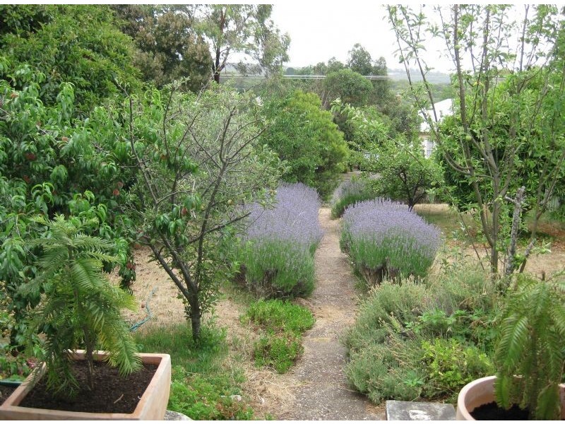 31 Jamieson, Daylesford VIC 3460