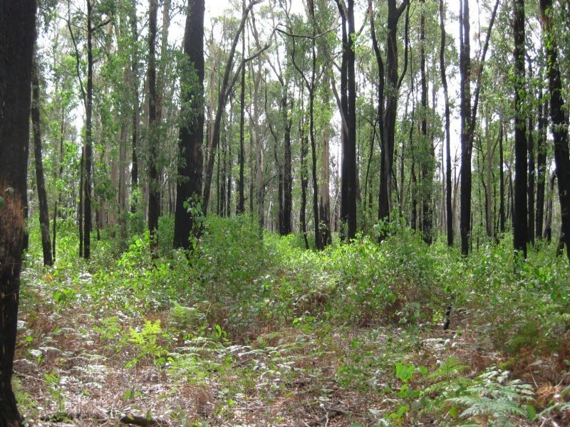 Lot 1/0 Sullivan Street, Daylesford VIC 3460