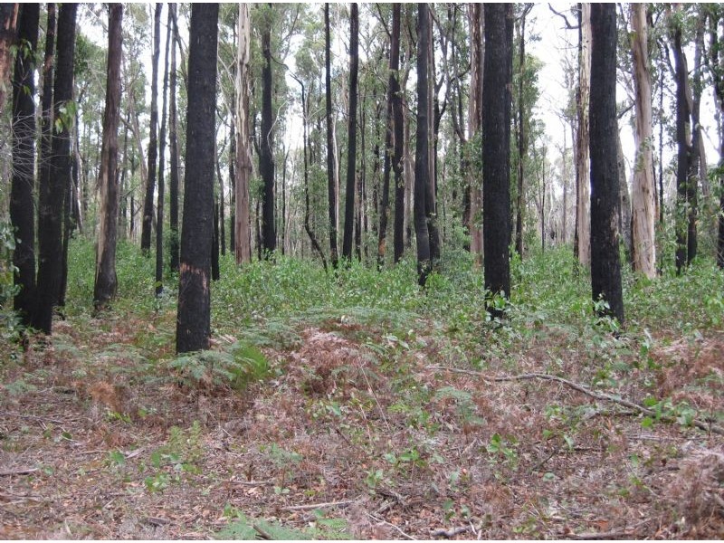 Lot 1/0 Sullivan Street, Daylesford VIC 3460