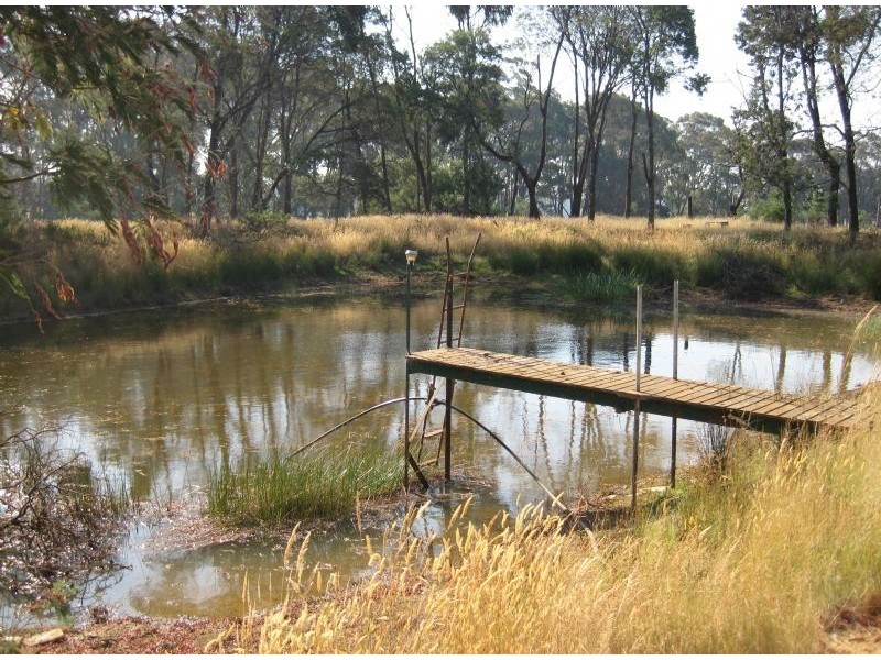 40 Woodduck Drive, Wheatsheaf VIC 3461