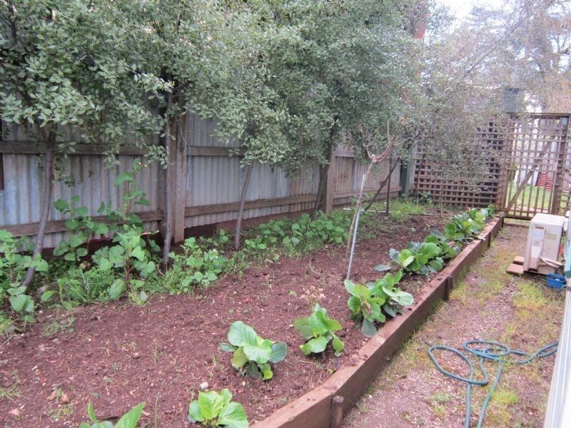 2 Knox Street, Daylesford VIC 3460