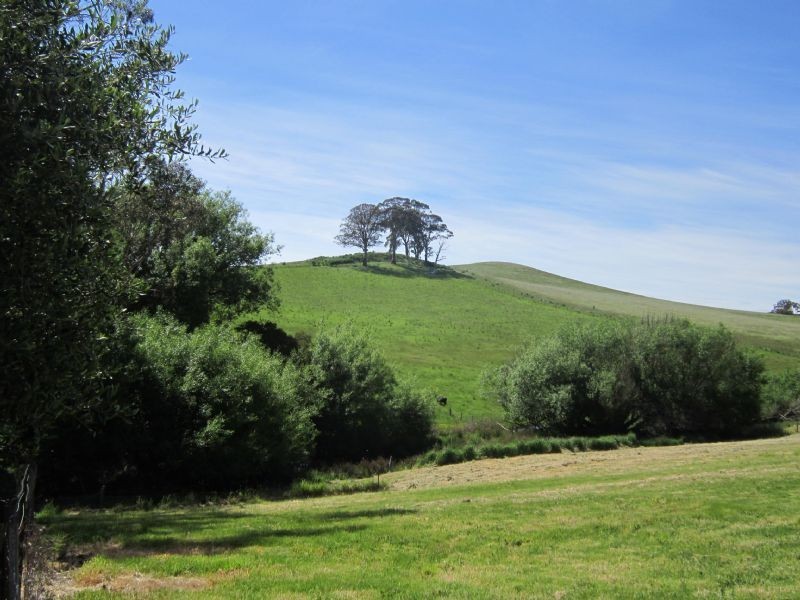 126 Rodonis Road, Musk VIC 3461