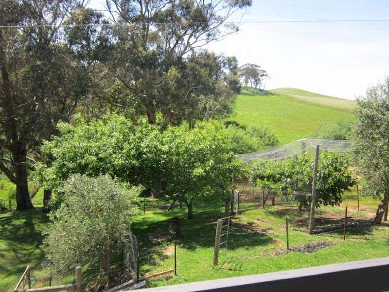 126 Rodonis Road, Musk VIC 3461