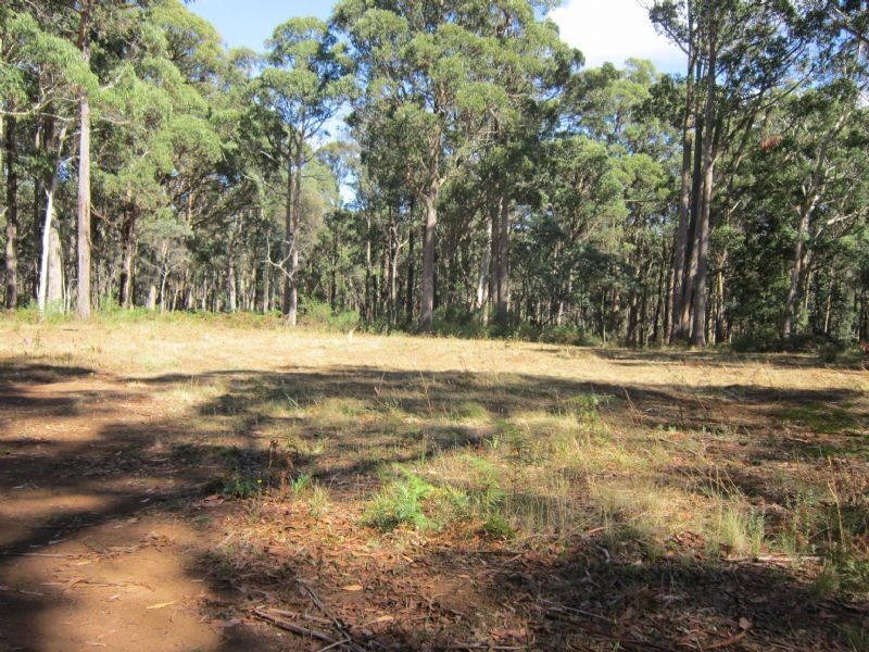 50 Marshalls Road, Musk VIC 3461