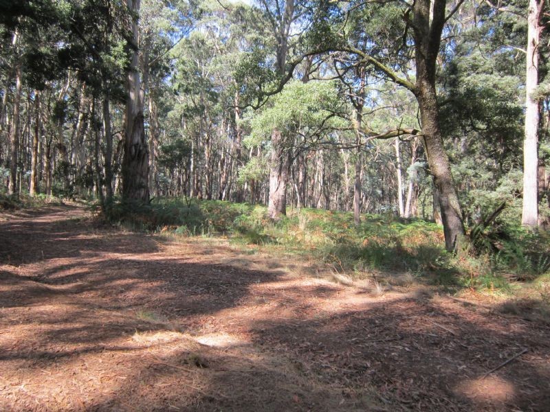 50 Marshalls Road, Musk VIC 3461