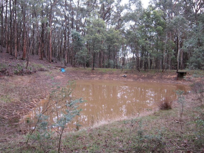 29 Russells Road, Porcupine Ridge VIC 3461