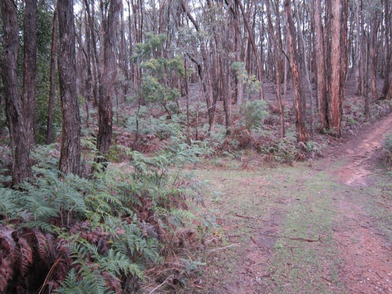 29 Russells Road, Porcupine Ridge VIC 3461