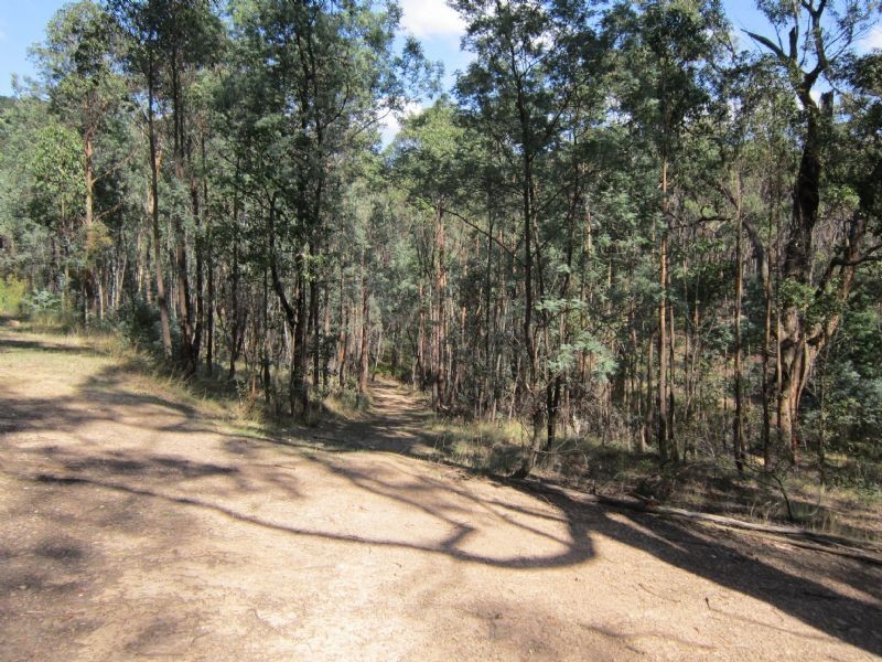 29 Russells Road, Porcupine Ridge VIC 3461