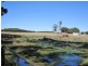 25 Trentham-Spring Hill Road, Spring Hill VIC 3444