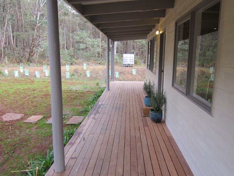 60 Wallaby Road, Wheatsheaf VIC 3461