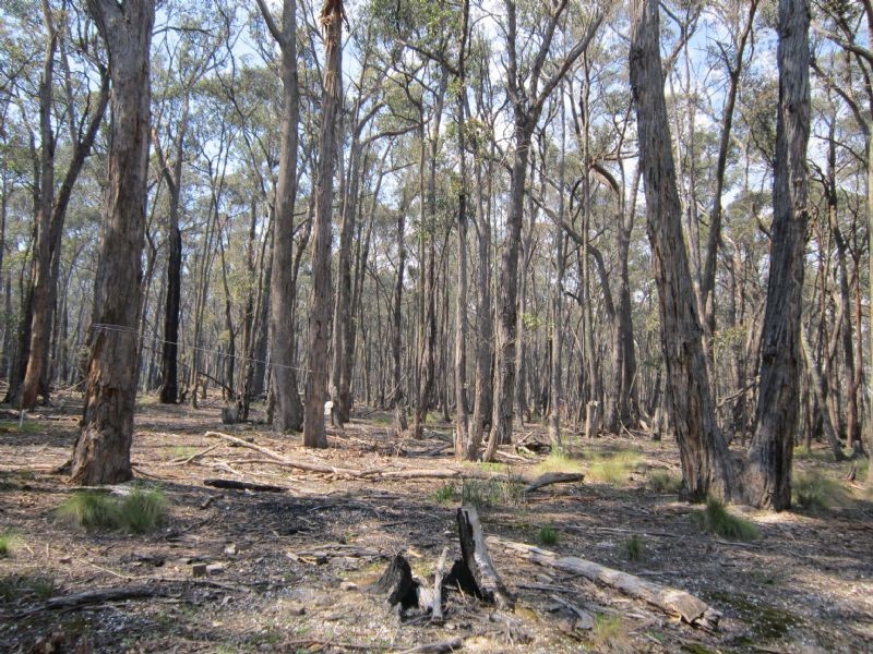 Lot/13 Bradshaw Court, Blampied VIC 3364