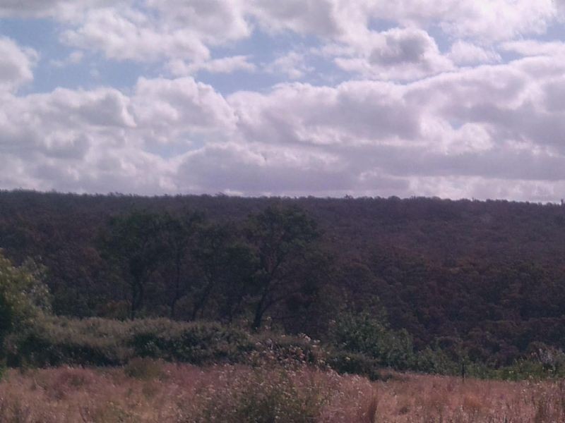 16 Table Hill Rd, Daylesford VIC 3460