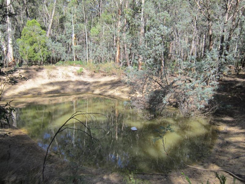 45 Whitegum Drive, Wheatsheaf VIC 3461