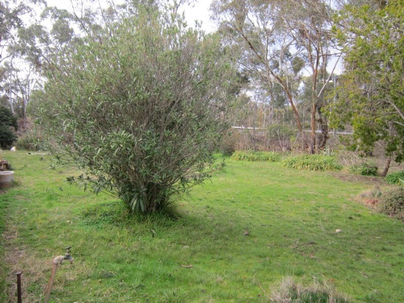 1653 Hepburn Newstead Road, CLYDESDALE, Clydesdale VIC 3461