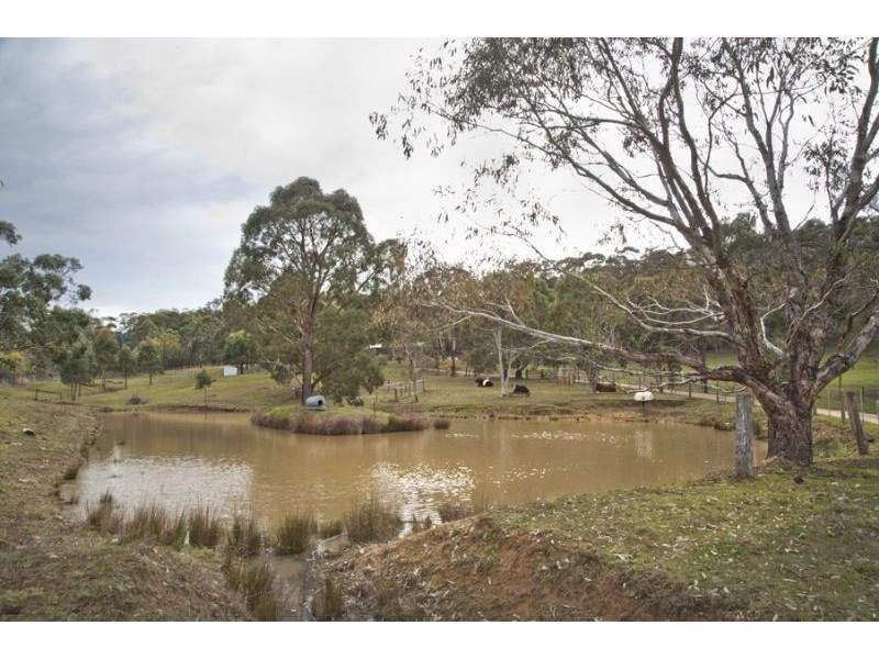 99 Woolnoughs Road, Daylesford VIC 3460