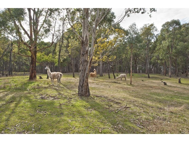 99 Woolnoughs Road, Daylesford VIC 3460