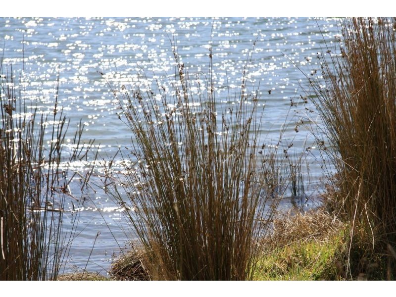 Lot 10, 34 Lynch’s Road, Bullarto South VIC 3461