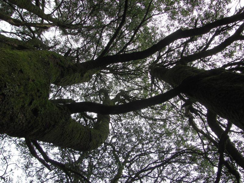 Lot 10, 34 Lynch’s Road, Bullarto South VIC 3461