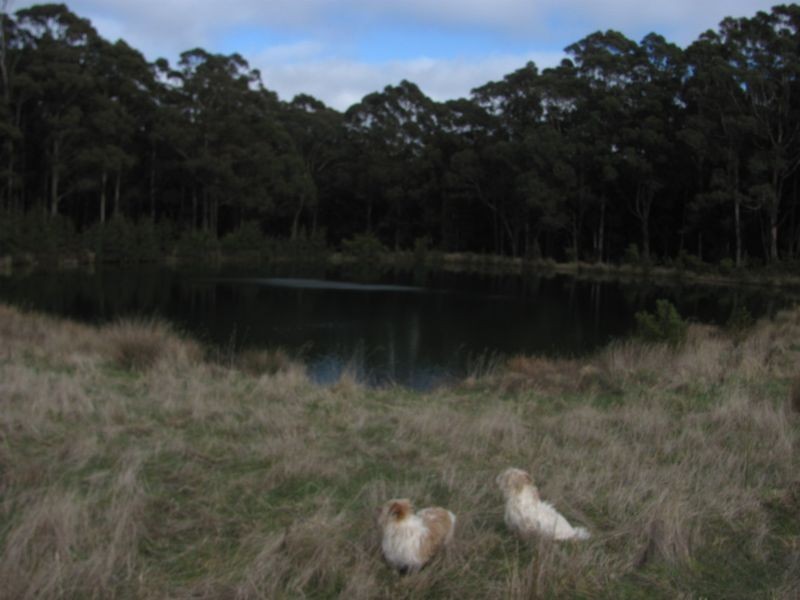 Lot 10, 34 Lynch’s Road, Bullarto South VIC 3461