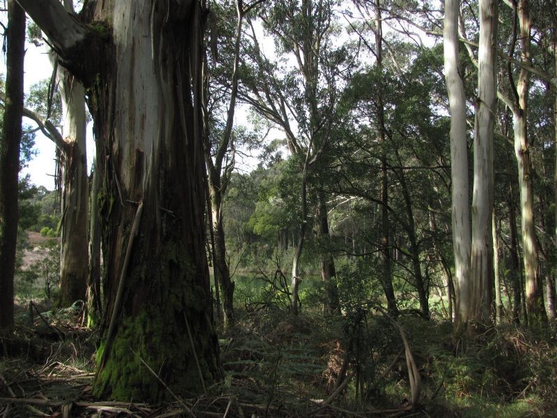 Lot 10, 34 Lynch’s Road, Bullarto South VIC 3461