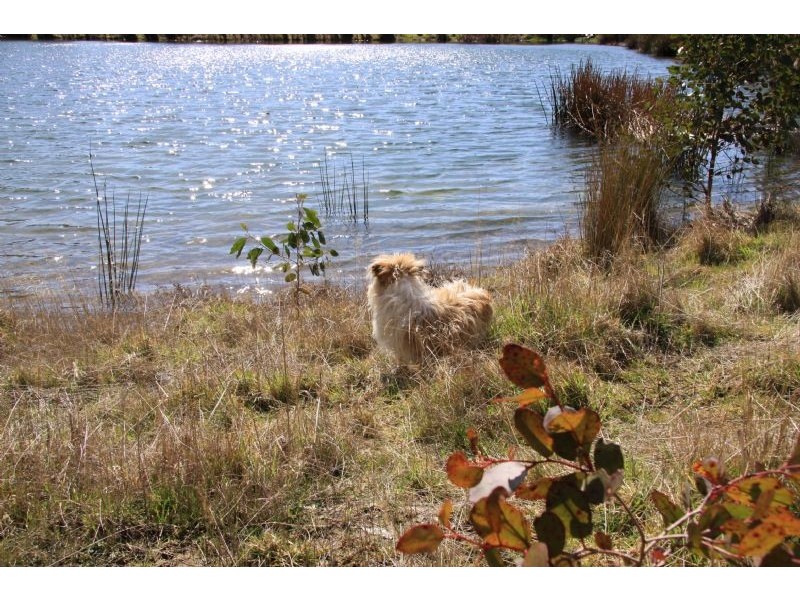 Lot 10, 34 Lynch’s Road, Bullarto South VIC 3461