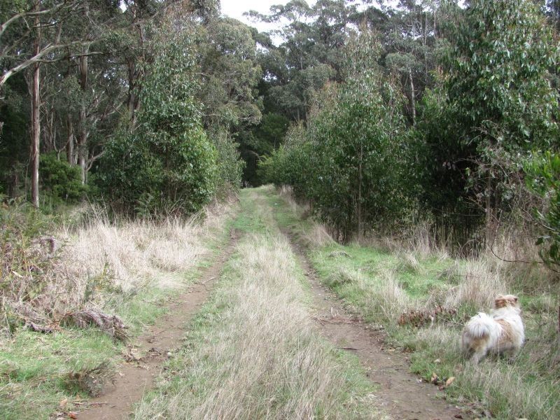 Lot 10, 34 Lynch’s Road, Bullarto South VIC 3461