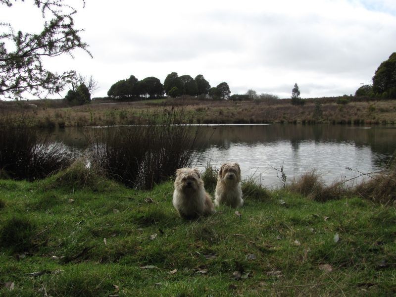 Lot 10, 34 Lynch’s Road, Bullarto South VIC 3461