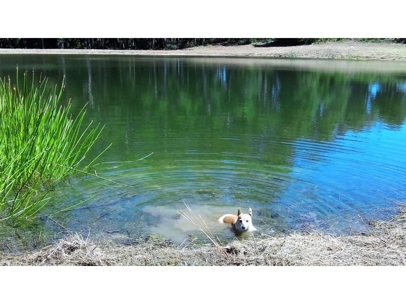 Lot 10, 34 Lynch’s Road, Bullarto South VIC 3461