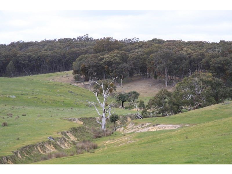 229 Werona Road, Kooroocheang VIC 3364