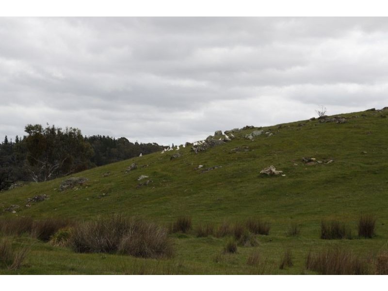 229 Werona Road, Kooroocheang VIC 3364