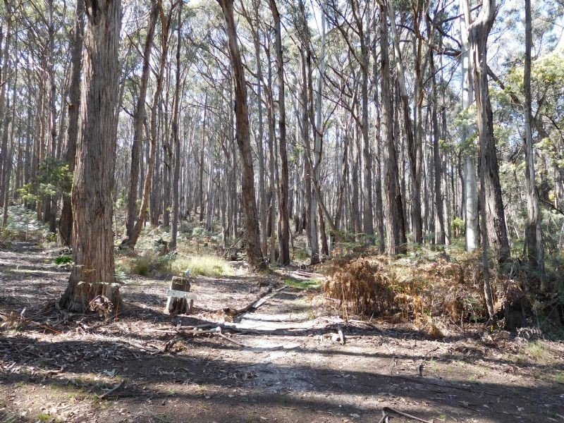 30 Kangaroo Drive, Coomoora VIC 3461