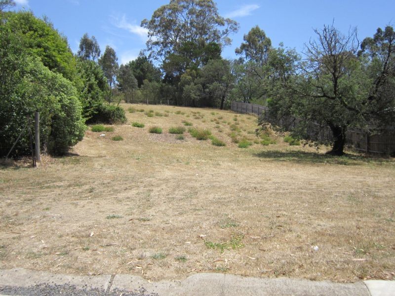 15 Wynvale Rise, Hepburn Springs VIC 3461