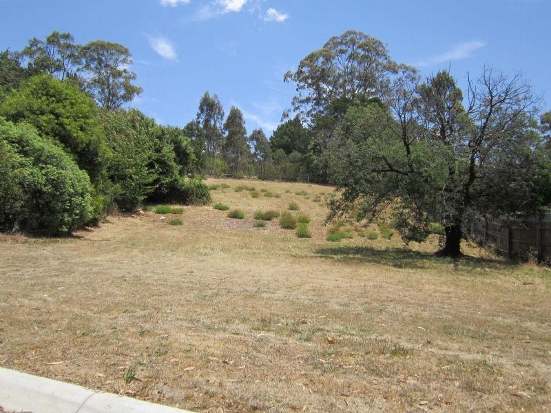 15 Wynvale Rise, Hepburn Springs VIC 3461