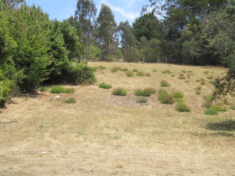 15 Wynvale Rise, Hepburn Springs VIC 3461