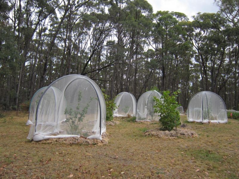 105 Kangaroo Drive, Coomoora VIC 3461