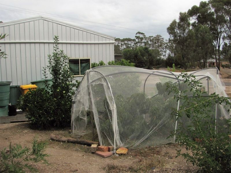 14 Monash Street, Newstead VIC 3462