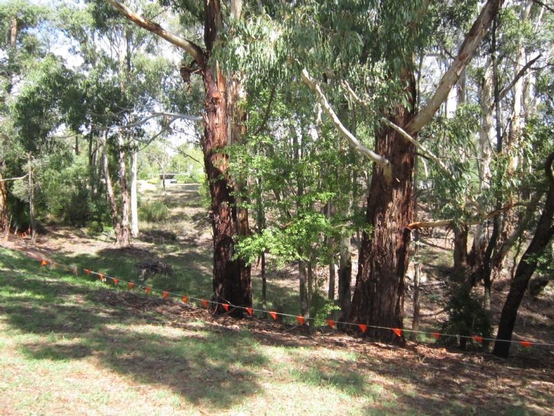 36 Leggatt Street, Daylesford VIC 3460