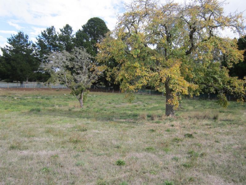 3795 Midland Hwy, Daylesford VIC 3460