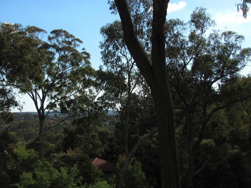 20 Forest Avenue,, Hepburn Springs VIC 3461