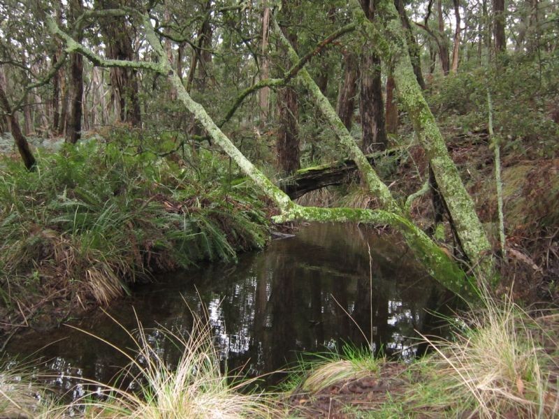 30 Wallaby Road, Daylesford VIC 3460