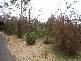 Lot 424 Cook Street, Mccrae VIC 3938