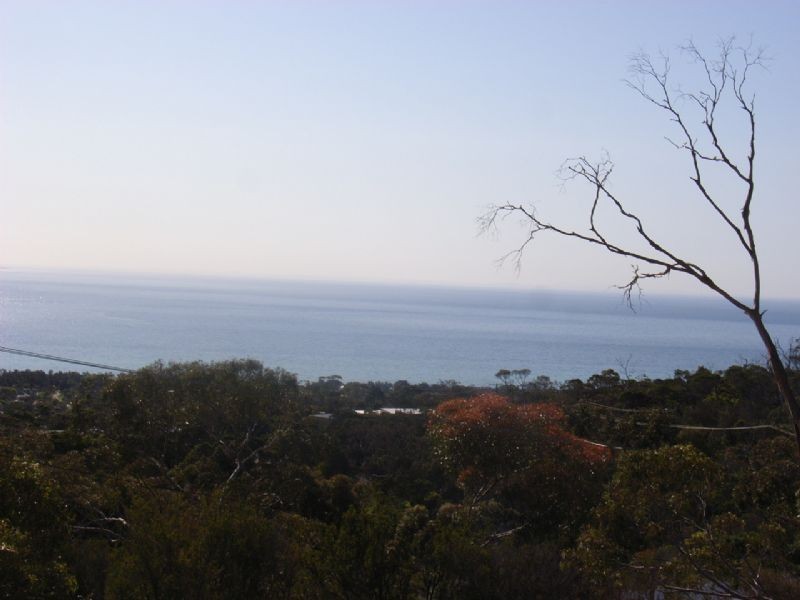 Lot 75 Cook Street, Mccrae VIC 3938