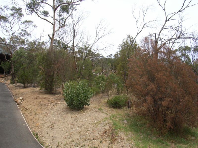 Lot 75 Cook Street, Mccrae VIC 3938