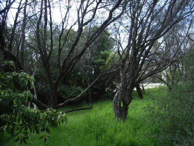 12 Wunda Street, Dromana VIC 3936