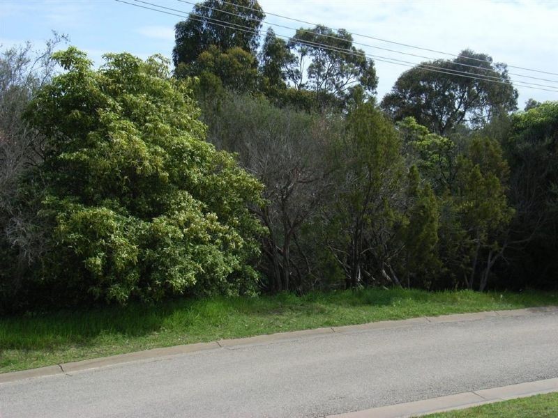 12 Wunda Street, Dromana VIC 3936